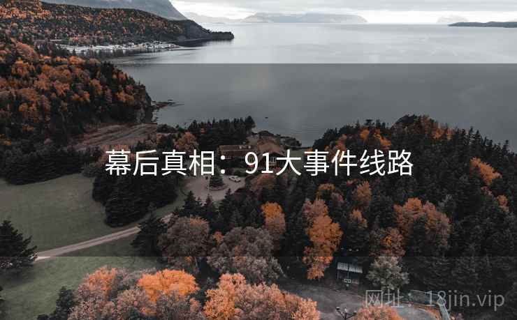 幕后真相：91大事件线路