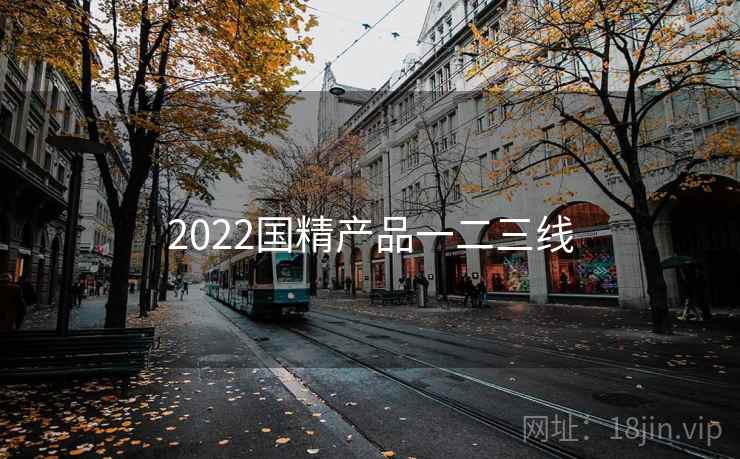 2022国精产品一二三线